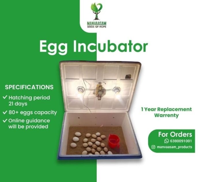 Egg incubator