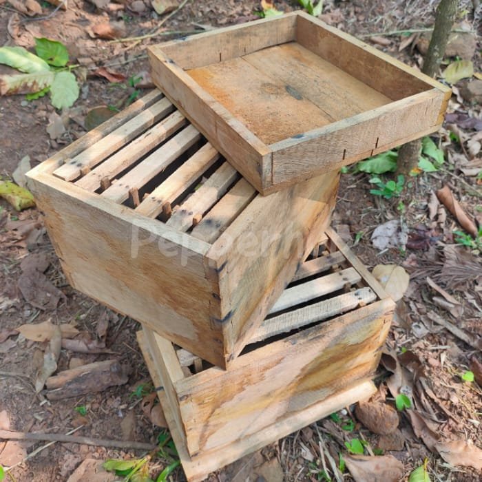 Honey bee box 